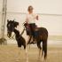 Endurance and Trail Riders Get Centered